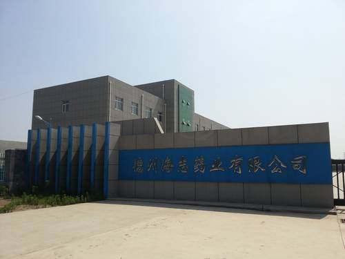 Dezhou Haizhi Pharma. Co., LTD. Shandong factory